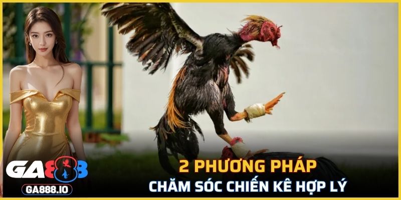 2 phương pháp chăm sóc chiến kê hợp lý