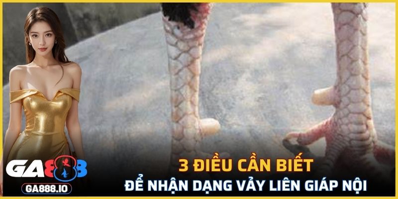 3 điều cần biết để nhận dạng vảy Liên Giáp Nội