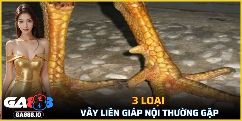 3 loại vảy Liên Giáp Nội thường gặp