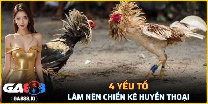 4 yếu tố làm nên chiến kê huyền thoại