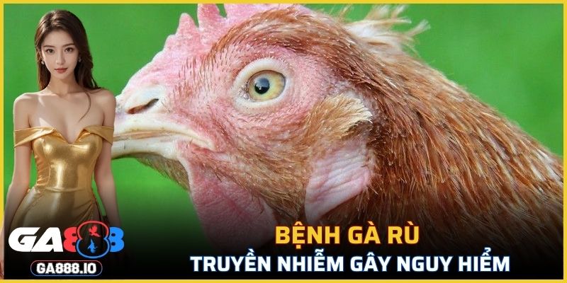 Bệnh Gà Rù