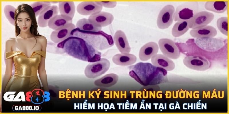 Bệnh Ký Sinh Trùng Đường Máu
