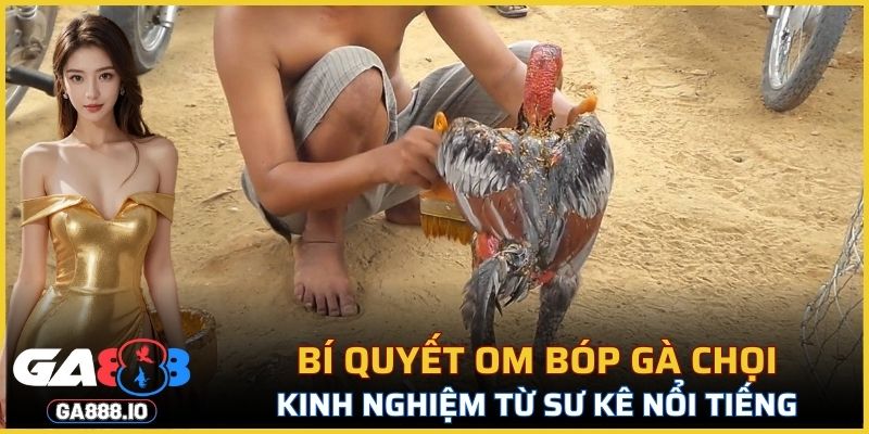 Bí Quyết Ôm Bóp Gà Chọi
