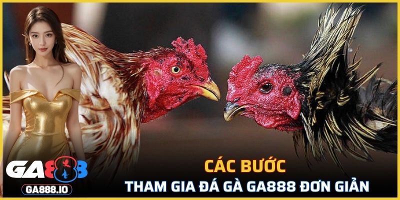 Các bước tham gia đá gà GA888 đơn giản và hiệu quả