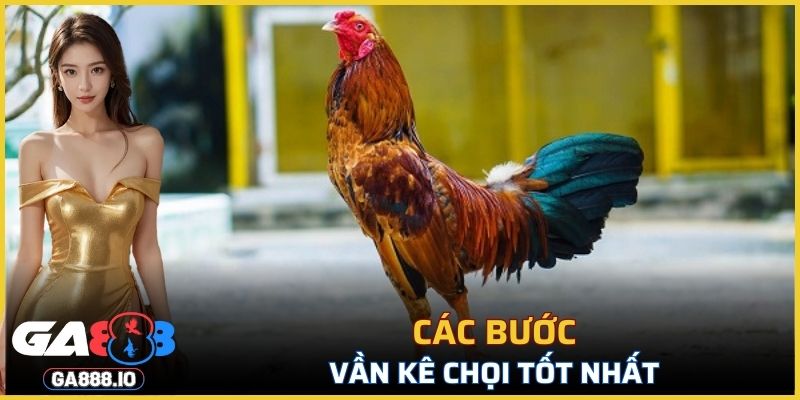 Các bước vần kê chọi tốt nhất