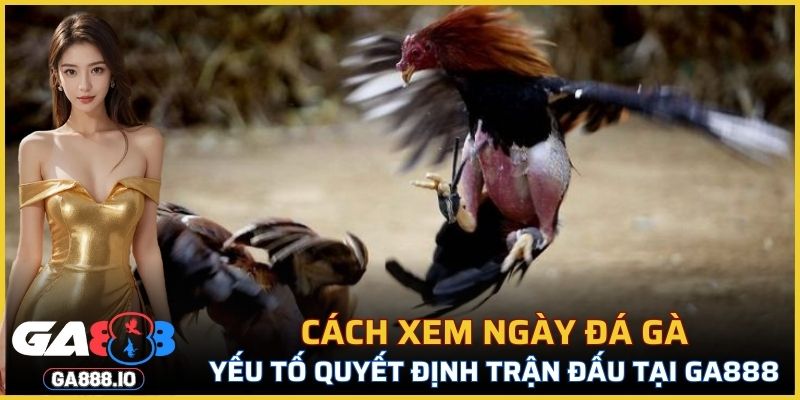 Cách Xem Ngày Đá Gà