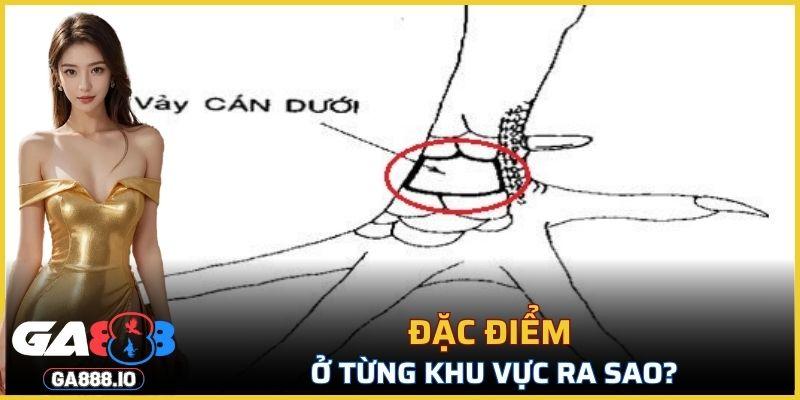 Chúng có thể xuất hiện ở nhiều vị trí khác nhau trên cơ thể gà
