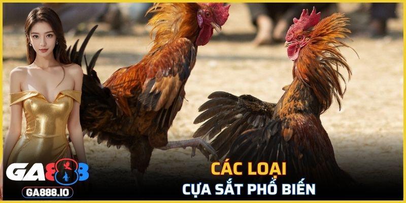 Công dụng chính của chúng là tăng cường khả năng chiến đấu