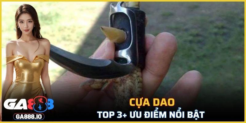 Cựa Dao