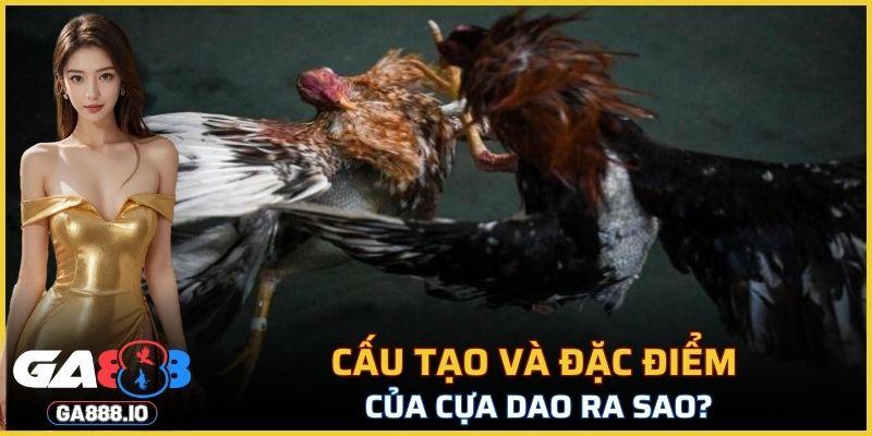 Cựa này mang lại sự khác biệt lớn về độ sát thương