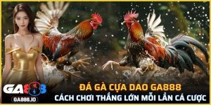 Đá Gà Cựa Dao