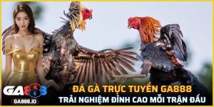 Đá Gà Trực Tuyến