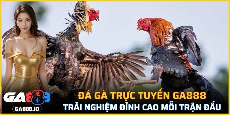 Đá Gà Trực Tuyến