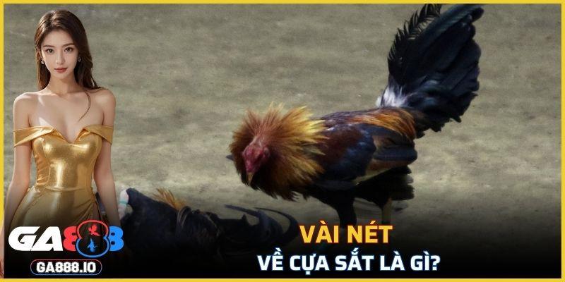 Đây là công cụ được thiết kế đặc biệt để gắn vào chân gà
