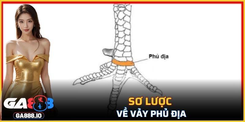 Đây là thuật ngữ dùng để chỉ một loài vảy khác biệt