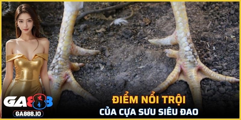 Điểm nổi trội của Cựa Sưu Siêu Đao