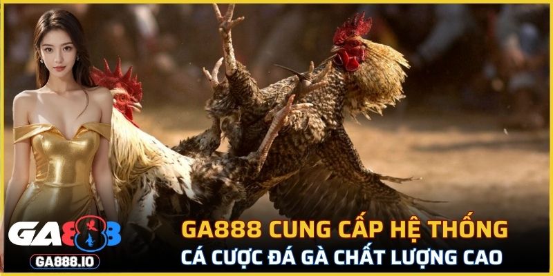 GA888 cung cấp hệ thống cá cược đá gà trực tuyến chất lượng cao