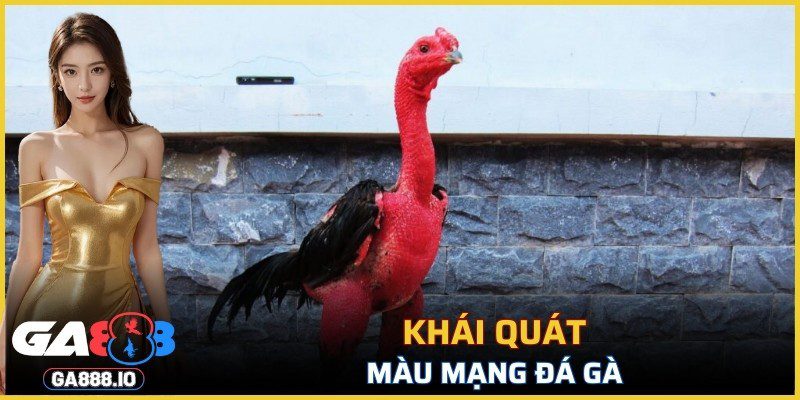 Khái quát về màu mạng đá gà