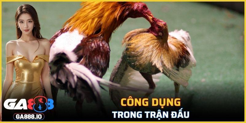 Khi chọn bạn cần để tâm đến kích thước có hợp không?