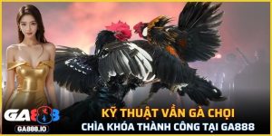 Kỹ Thuật Vần Gà Chọi