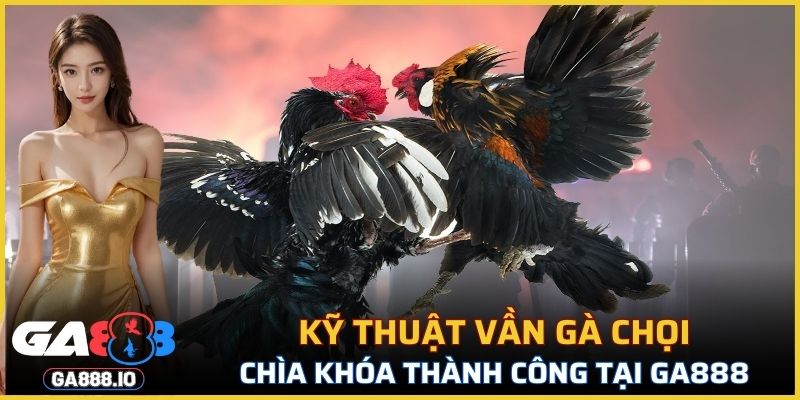 Kỹ Thuật Vần Gà Chọi