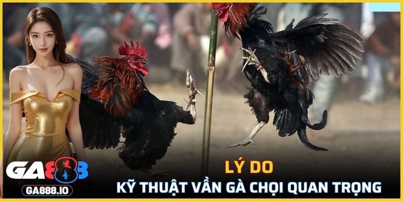 Lý do kỹ thuật vần gà chọi quan trọng