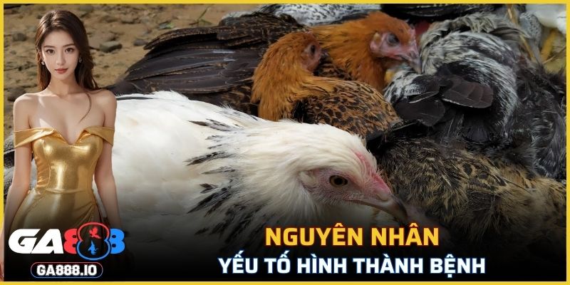 Nguyên nhân gây ra mầm bệnh