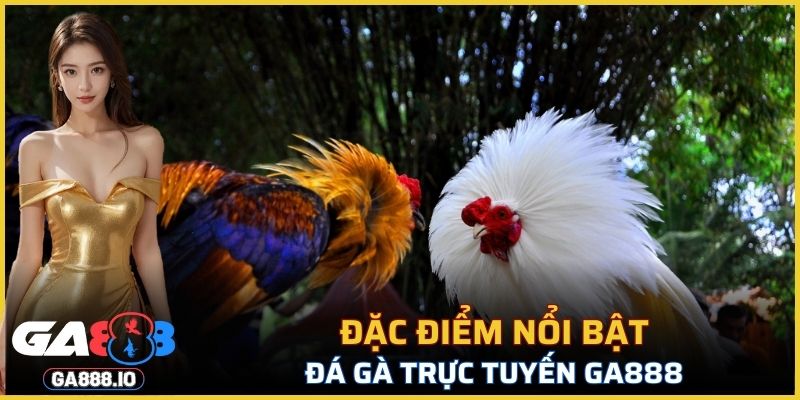 Những đặc điểm nổi bật của đá gà tại GA888