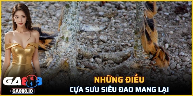 Những điều Cựa Sưu Siêu Đao mang lại