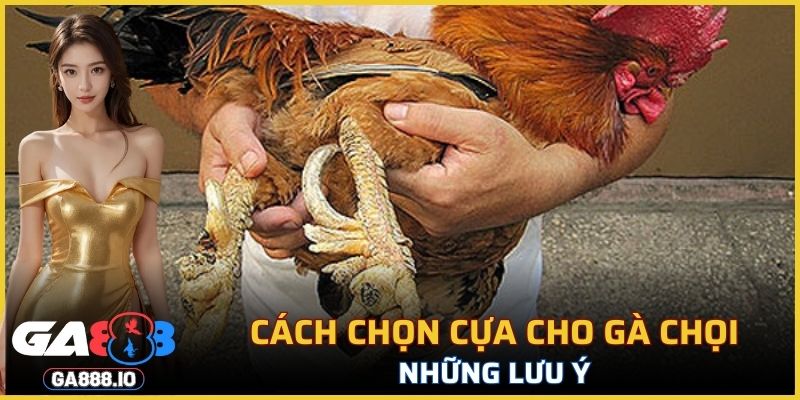 Những lưu ý không thể quên