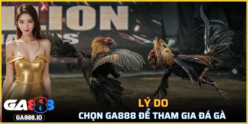 Tại sao nên chọn GA888 để tham gia đá gà cựa sắt?