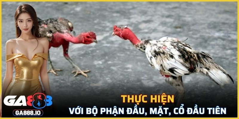 Thực hiện với bộ phận đầu, mặt, cổ đầu tiênThực hiện với bộ phận đầu, mặt, cổ đầu tiên