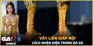 Vảy Liên Giáp Nội