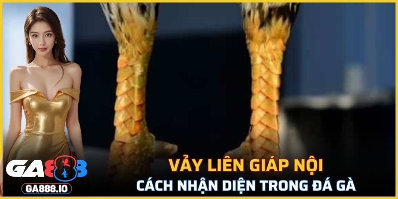 Vảy Liên Giáp Nội