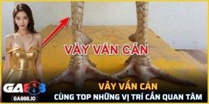 Vảy Vấn Cán