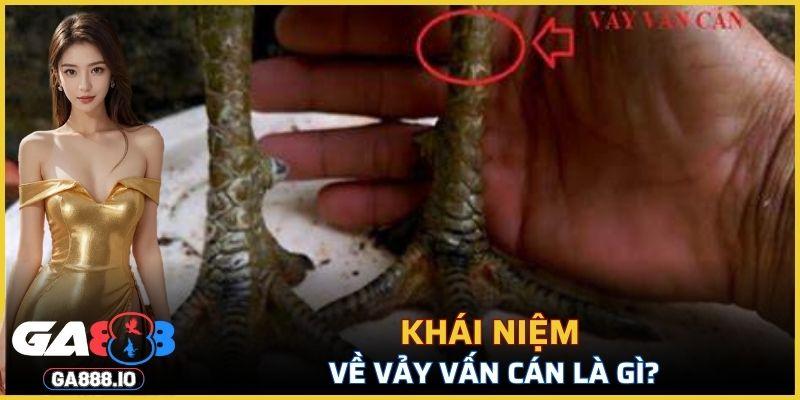 việc nhận diện và hiểu rõ đặc điểm là cần thiết